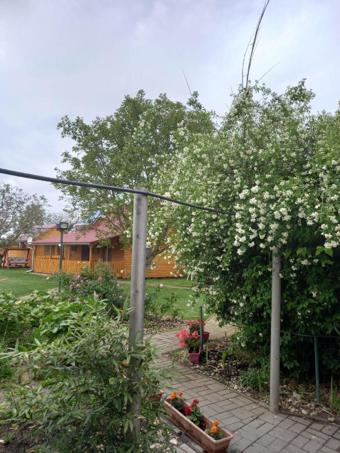 Hobby Vendeghaz Daire Kiskunmajsa Dış mekan fotoğraf